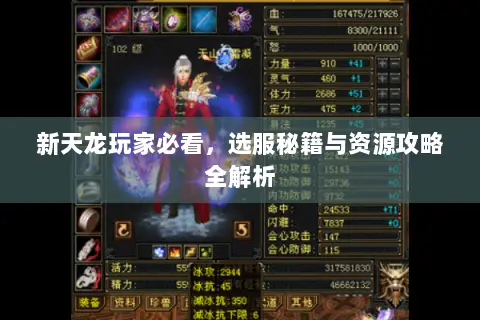 新天龙玩家必看,选服秘籍与资源攻略全解析 新天龙玩家必看,选服秘籍与资源攻略全解析