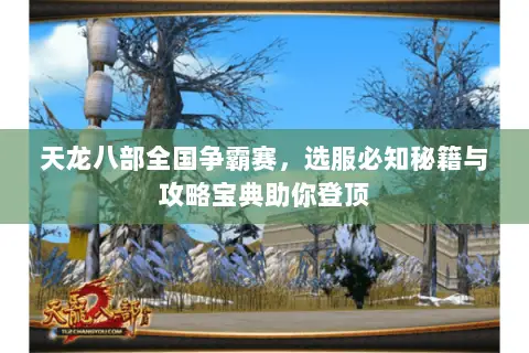 天龙八部全国争霸赛,选服必知秘籍与攻略宝典助你登顶 天龙八部全国争霸赛,选服必知秘籍与攻略宝典助你登顶