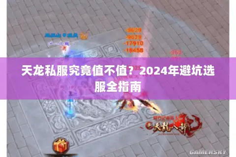 天龙私服究竟值不值?2024年避坑选服全指南 天龙私服究竟值不值?2024年避坑选服全指南