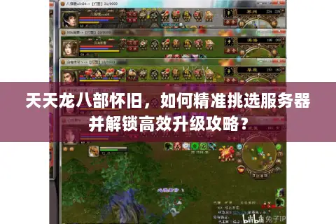 天天龙八部怀旧，如何精准挑选服务器并解锁高效升级攻略？