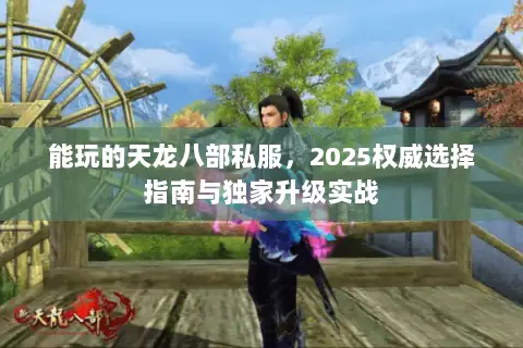 能玩的天龙八部私服,2025权威选择指南与独家升级实战 能玩的天龙八部私服,2025权威选择指南与独家升级实战