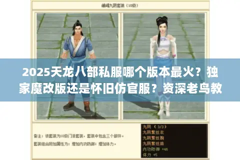 2025天龙八部私服哪个版本最火？独家魔改版还是怀旧仿官服？资深老鸟教你避坑选对服！