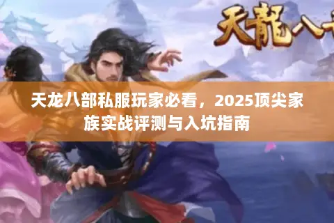 天龙八部私服玩家必看，2025顶尖家族实战评测与入坑指南