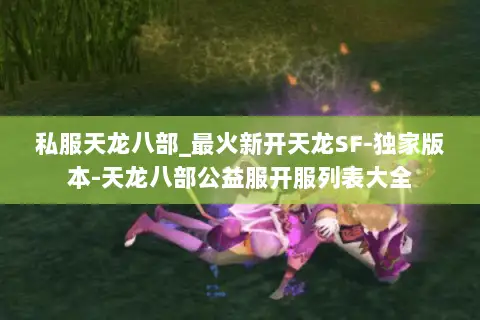 私服天龙八部_最火新开天龙SF-独家版本-天龙八部公益服开服列表大全