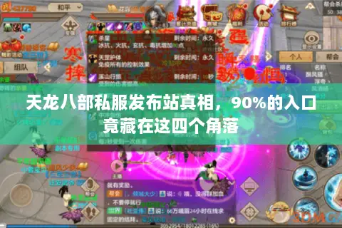 天龙八部私服发布站真相,90%的入口竟藏在这四个角落 天龙八部私服发布站真相,90%的入口竟藏在这四个角落