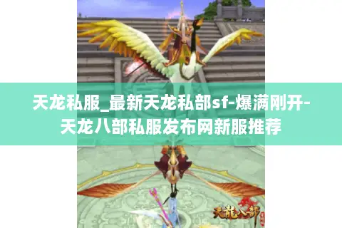 天龙私服_最新天龙私部sf-爆满刚开-天龙八部私服发布网新服推荐