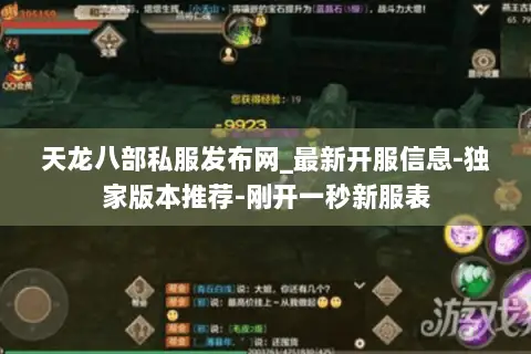 天龙八部私服发布网_最新开服信息-独家版本推荐-刚开一秒新服表