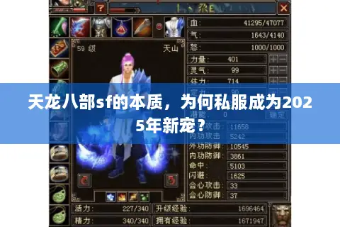 天龙八部sf的本质,为何私服成为2025年新宠? 天龙八部sf的本质,为何私服成为2025年新宠?