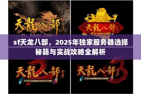 sf天龙八部，2025年独家服务器选择秘籍与实战攻略全解析