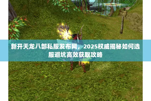 新开天龙八部私服发布网,2025权威揭秘如何选服避坑高效获取攻略 新开天龙八部私服发布网,2025权威揭秘如何选服避坑高效获取攻略
