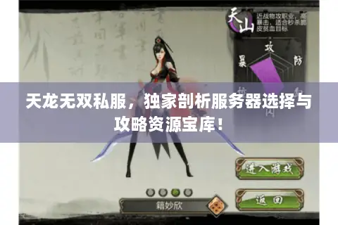 天龙无双私服,独家剖析服务器选择与攻略资源宝库! 天龙无双私服,独家剖析服务器选择与攻略资源宝库!