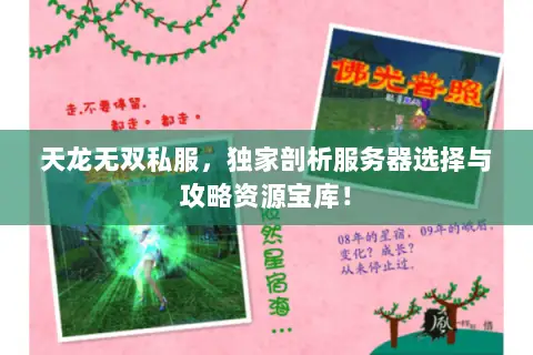 天龙无双私服,独家剖析服务器选择与攻略资源宝库! 天龙无双私服,独家剖析服务器选择与攻略资源宝库!
