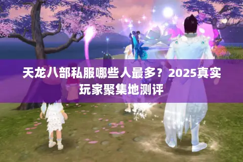 天龙八部私服哪些人最多?2025真实玩家聚集地测评 天龙八部私服哪些人最多?2025真实玩家聚集地测评