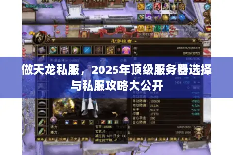 做天龙私服，2025年顶级服务器选择与私服攻略大公开