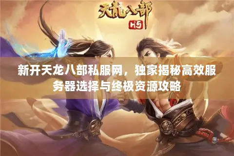 新开天龙八部私服网，独家揭秘高效服务器选择与终极资源攻略