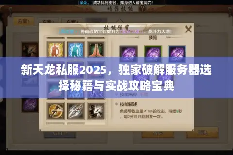 新天龙私服2025,独家破解服务器选择秘籍与实战攻略宝典 新天龙私服2025,独家破解服务器选择秘籍与实战攻略宝典
