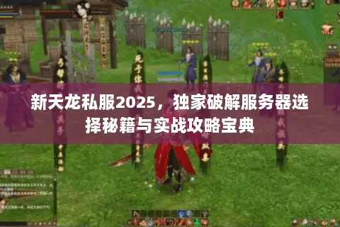 新天龙私服2025,独家破解服务器选择秘籍与实战攻略宝典 新天龙私服2025,独家破解服务器选择秘籍与实战攻略宝典