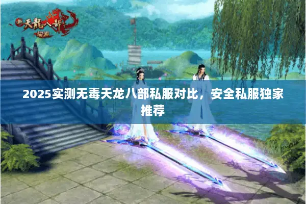 2025实测无毒天龙八部私服对比,安全私服独家推荐 2025实测无毒天龙八部私服对比,安全私服独家推荐