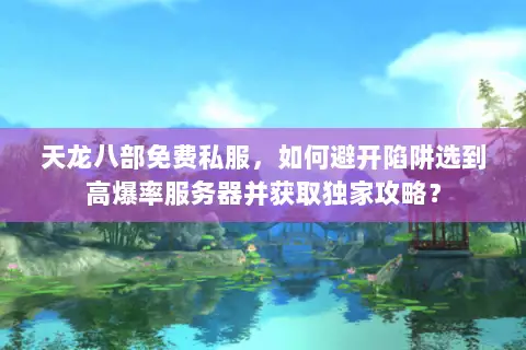 天龙八部免费私服，如何避开陷阱选到高爆率服务器并获取独家攻略？