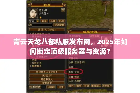 青云天龙八部私服发布网，2025年如何锁定顶级服务器与资源？