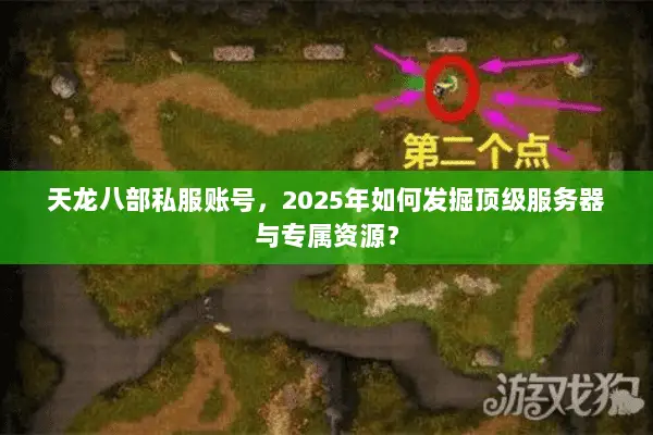 天龙八部私服账号,2025年如何发掘顶级服务器与专属资源? 天龙八部私服账号,2025年如何发掘顶级服务器与专属资源?