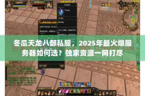 冬瓜天龙八部私服，2025年最火爆服务器如何选？独家资源一网打尽