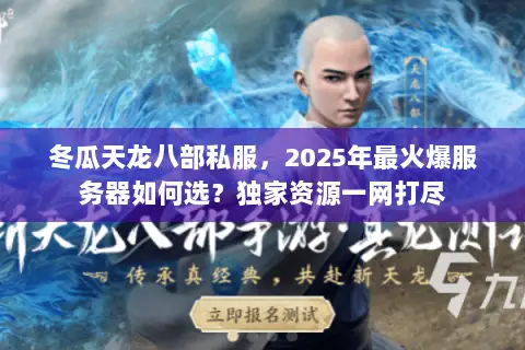 冬瓜天龙八部私服，2025年最火爆服务器如何选？独家资源一网打尽