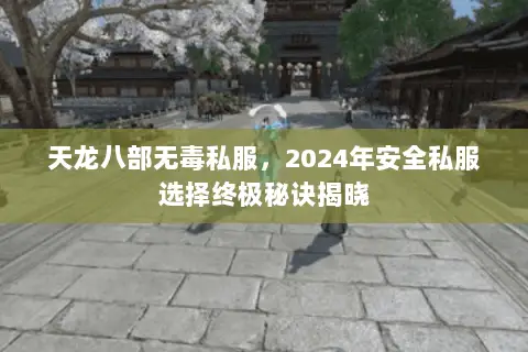天龙八部无毒私服,2024年安全私服选择终极秘诀揭晓 天龙八部无毒私服,2024年安全私服选择终极秘诀揭晓