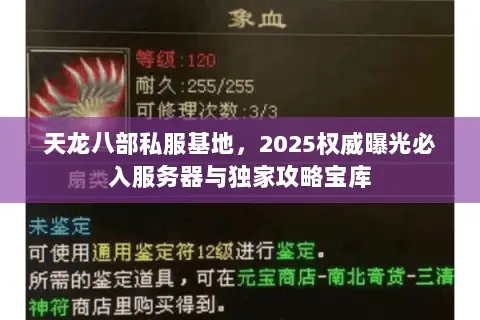 天龙八部私服基地，2025权威曝光必入服务器与独家攻略宝库
