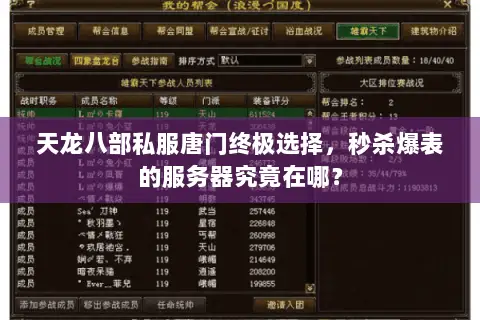 天龙八部私服唐门终极选择,秒杀爆表的服务器究竟在哪? 天龙八部私服唐门终极选择,秒杀爆表的服务器究竟在哪?