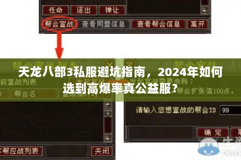 天龙八部3私服避坑指南，2024年如何选到高爆率真公益服？