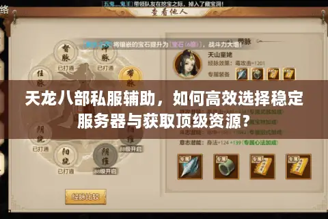 天龙八部私服辅助，如何高效选择稳定服务器与获取顶级资源？