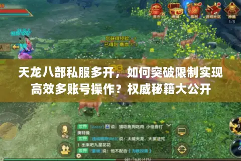 天龙八部私服多开,如何突破限制实现高效多账号操作?权威秘籍大公开 天龙八部私服多开,如何突破限制实现高效多账号操作?权威秘籍大公开