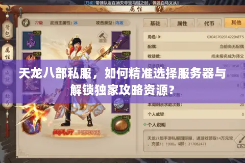 天龙八部私服，如何精准选择服务器与解锁独家攻略资源？