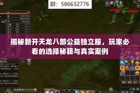 揭秘新开天龙八部公益独立服，玩家必看的选择秘籍与真实案例