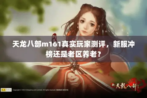 天龙八部m161真实玩家测评，新服冲榜还是老区养老？