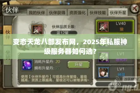 变态天龙八部发布网,2025年私服神级服务器如何选? 变态天龙八部发布网,2025年私服神级服务器如何选?