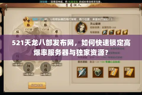 521天龙八部发布网，如何快速锁定高爆率服务器与独家资源？