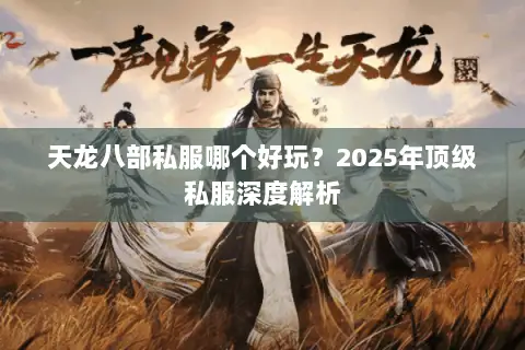天龙八部私服哪个好玩?2025年顶级私服深度解析 天龙八部私服哪个好玩?2025年顶级私服深度解析