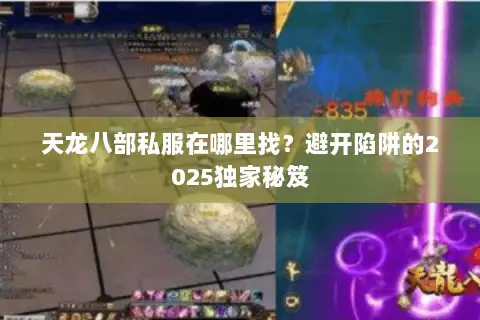 天龙八部私服在哪里找?避开陷阱的2025独家秘笈 天龙八部私服在哪里找?避开陷阱的2025独家秘笈