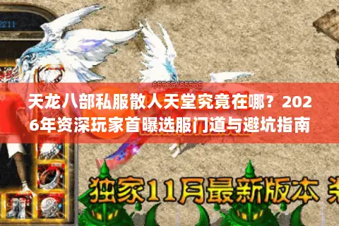 天龙八部私服散人天堂究竟在哪？2026年资深玩家首曝选服门道与避坑指南