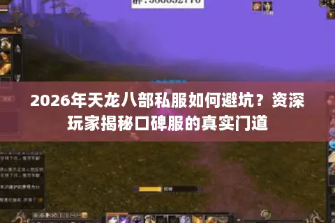 2026年天龙八部私服如何避坑?资深玩家揭秘口碑服的真实门道 2026年天龙八部私服如何避坑?资深玩家揭秘口碑服的真实门道