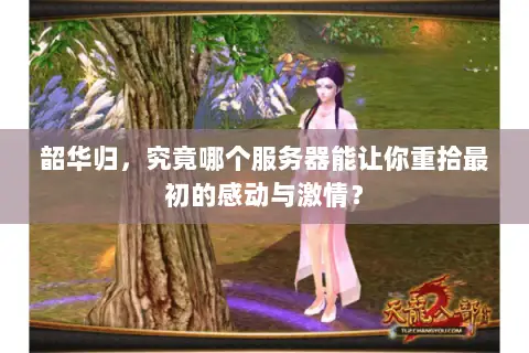韶华归，究竟哪个服务器能让你重拾最初的感动与激情？