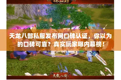 天龙八部私服发布网口碑认证，你以为的口碑可靠？真实玩家曝内幕榜！