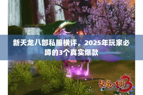 新天龙八部私服横评,2025年玩家必蹲的3个真实爆款 新天龙八部私服横评,2025年玩家必蹲的3个真实爆款