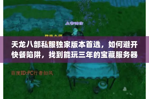 天龙八部私服独家版本首选，如何避开快餐陷阱，找到能玩三年的宝藏服务器？