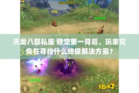 天龙八部私服 稳定第一背后，玩家究竟在寻找什么终极解决方案？
