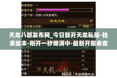 天龙八部发布网_今日新开天龙私服-独家版本-刚开一秒爆满中-最新开服表查询