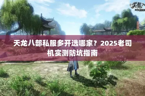 天龙八部私服多开选哪家？2025老司机实测防坑指南