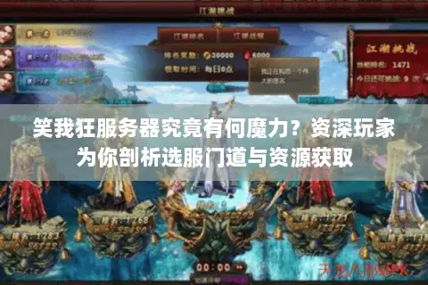 笑我狂服务器究竟有何魔力？资深玩家为你剖析选服门道与资源获取